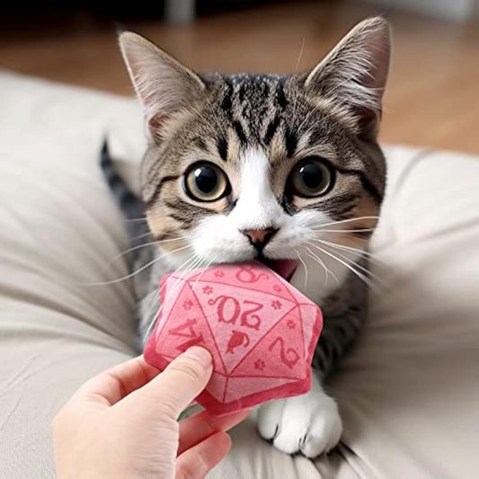 Interactive Dice Cat Toy