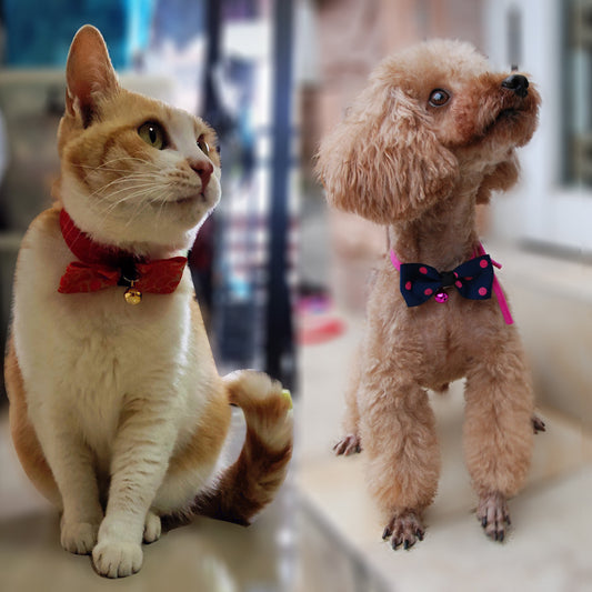 Pet Bow Tie
