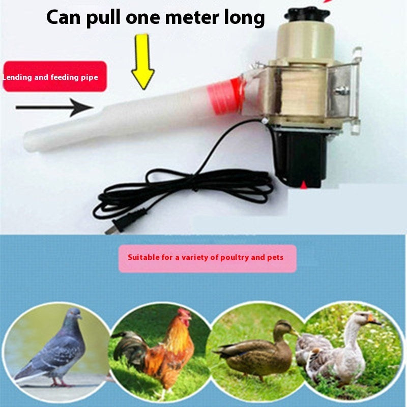 Automatic Solar Chicken Feeder