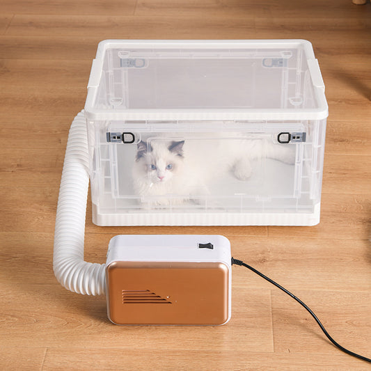 Transparent Cat Dryer